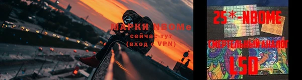 СК Михайлов