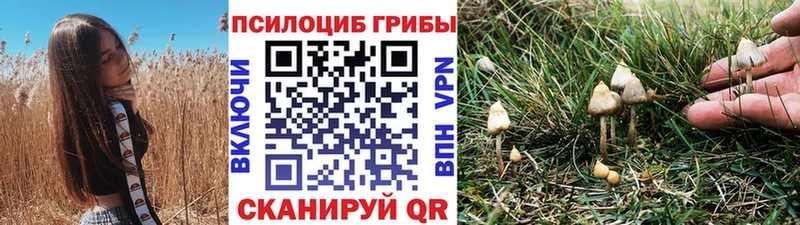 Псилоцибиновые грибы прущие грибы  Купить закладки  Маркс 